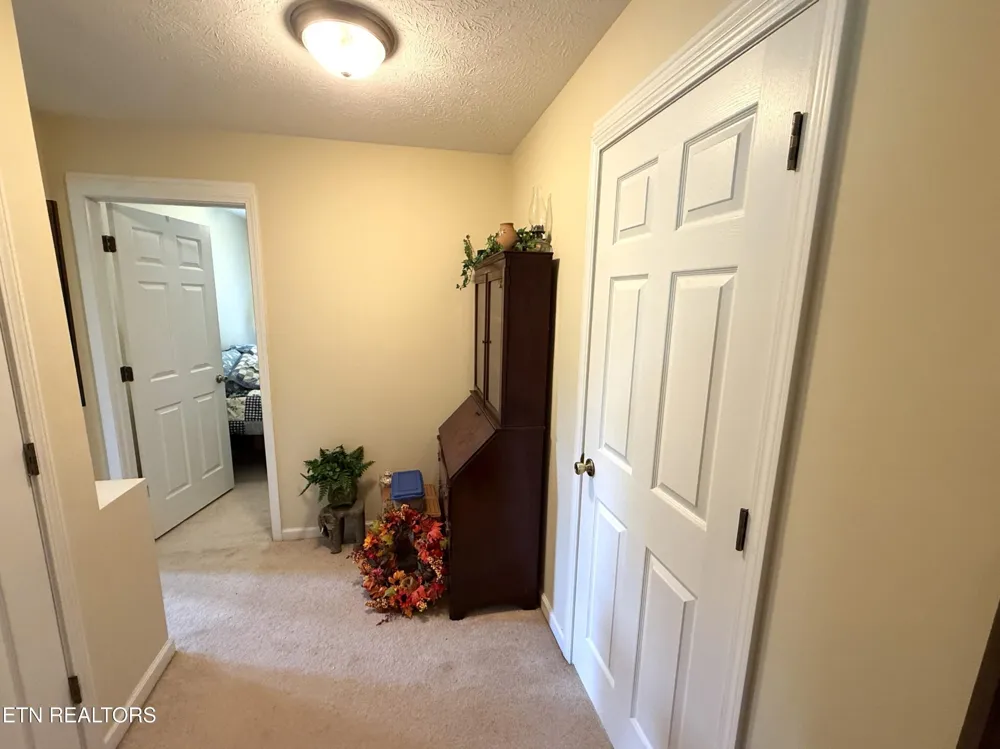 199 Pear Tree Way Del Rio, TN 37727