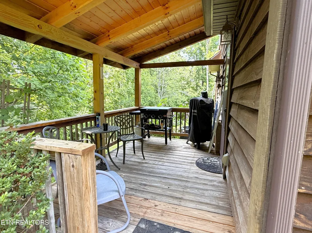 199 Pear Tree Way Del Rio, TN 37727