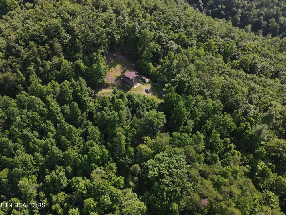 199 Pear Tree Way Del Rio, TN 37727