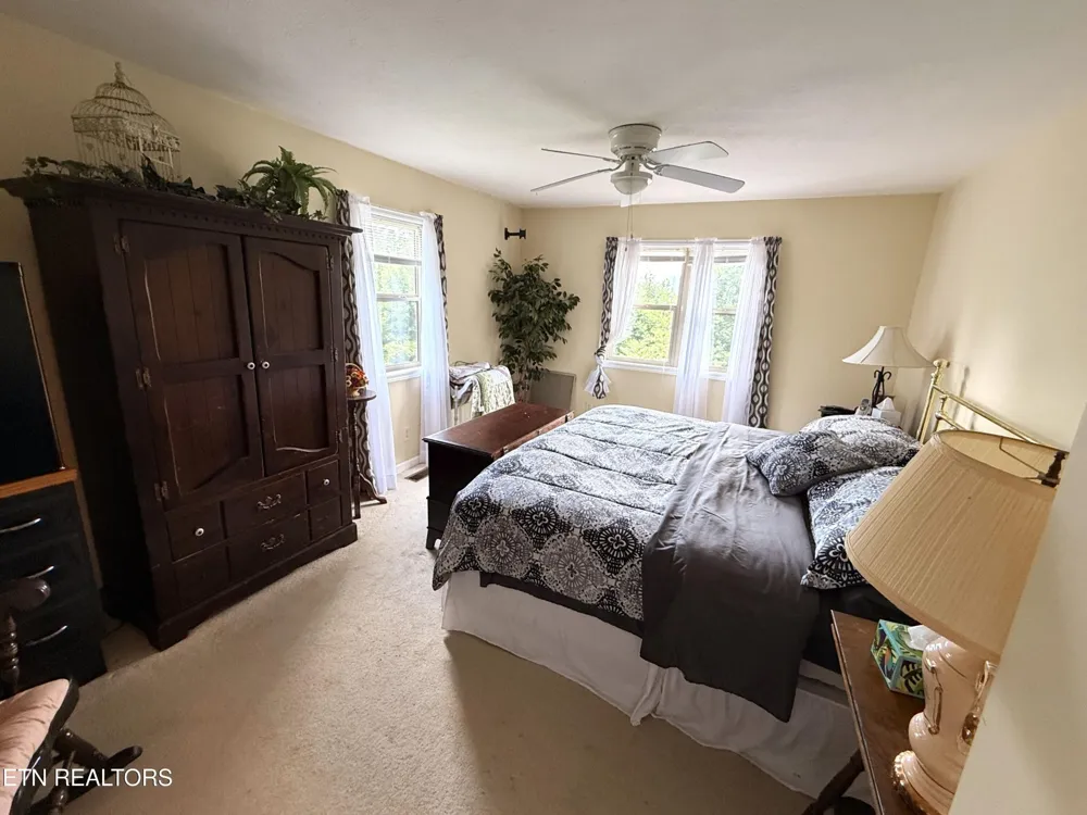 199 Pear Tree Way Del Rio, TN 37727