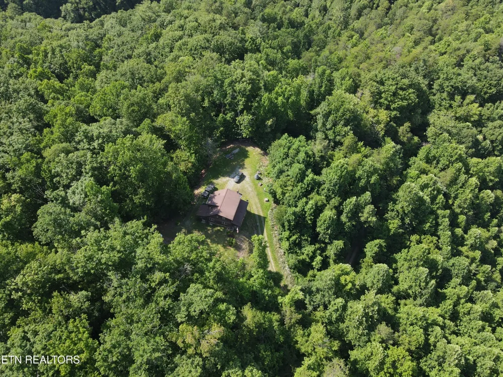 199 Pear Tree Way Del Rio, TN 37727