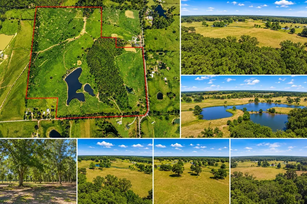 1963 County Road 44750 Blossom, TX 75416