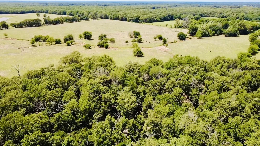 1963 County Road 44750 Blossom, TX 75416