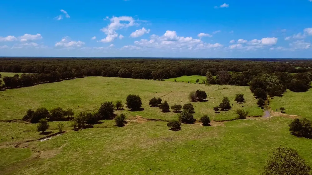 1963 County Road 44750 Blossom, TX 75416