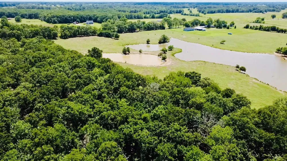 1963 County Road 44750 Blossom, TX 75416