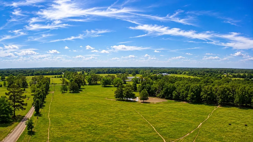 1963 County Road 44750 Blossom, TX 75416