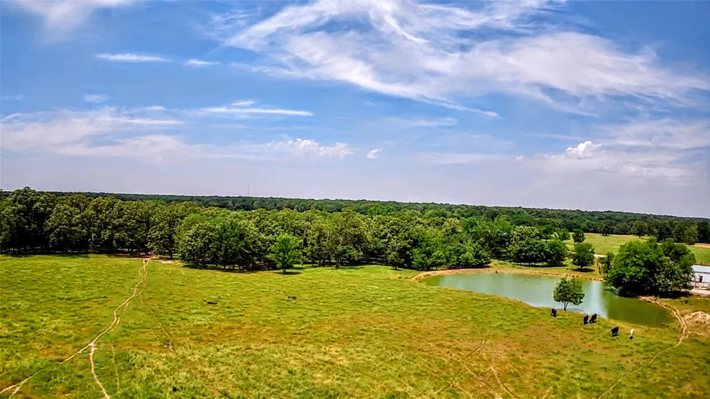 1963 County Road 44750 Blossom, TX 75416