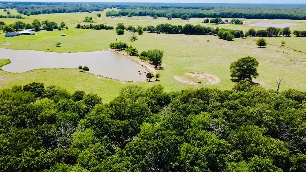 1963 County Road 44750 Blossom, TX 75416