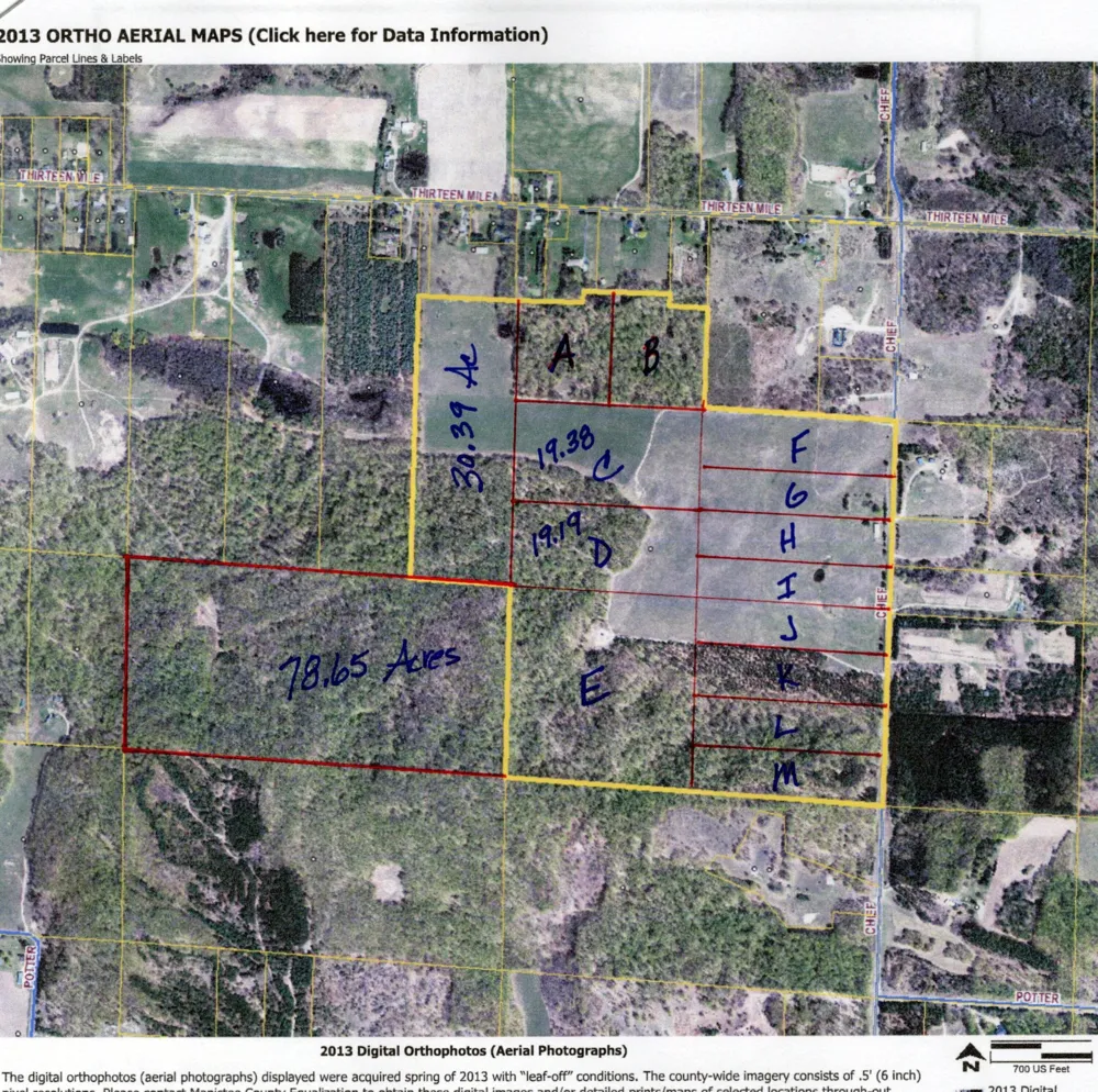 Chief Road Bear Lake, MI 49614