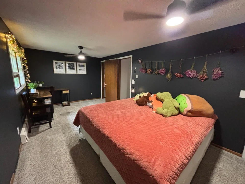 817 Alice Drive Thief River Falls, MN 56701