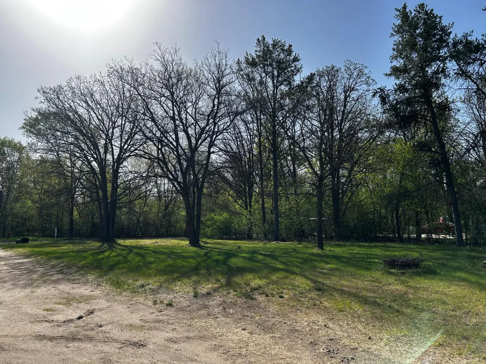 TBD E 2nd St. Pillager, MN 56473