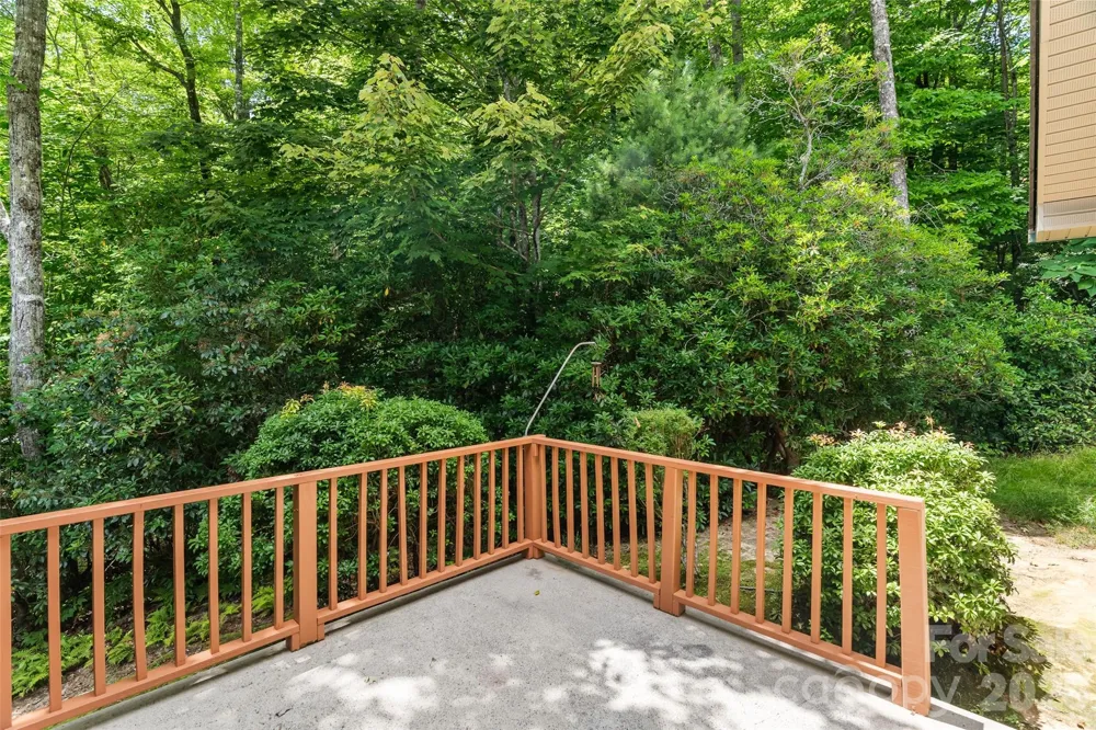 51 Duya Court Brevard, NC 28712