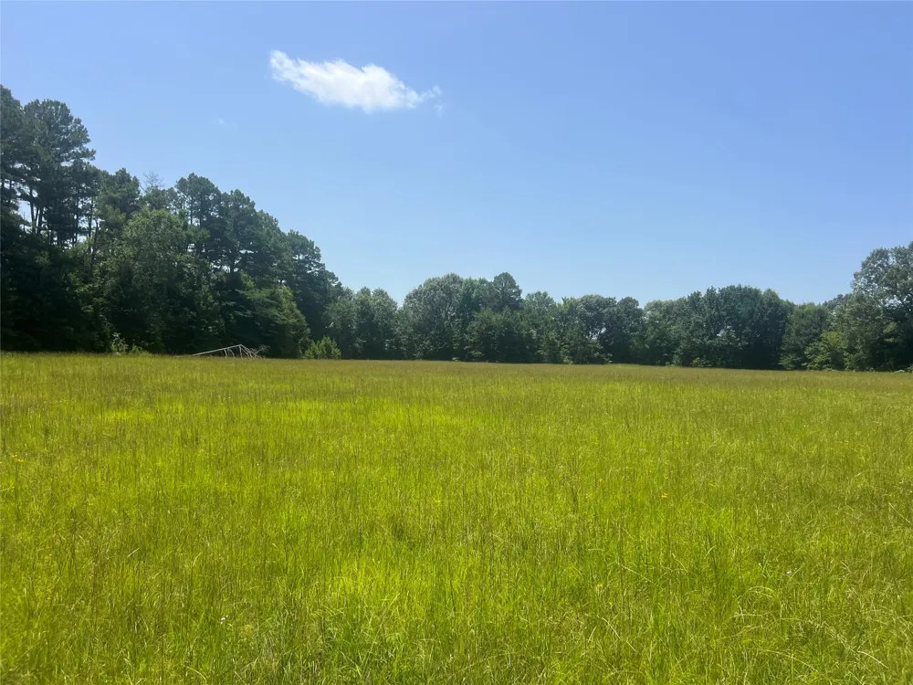 CR 44400 Powderly, TX 75473