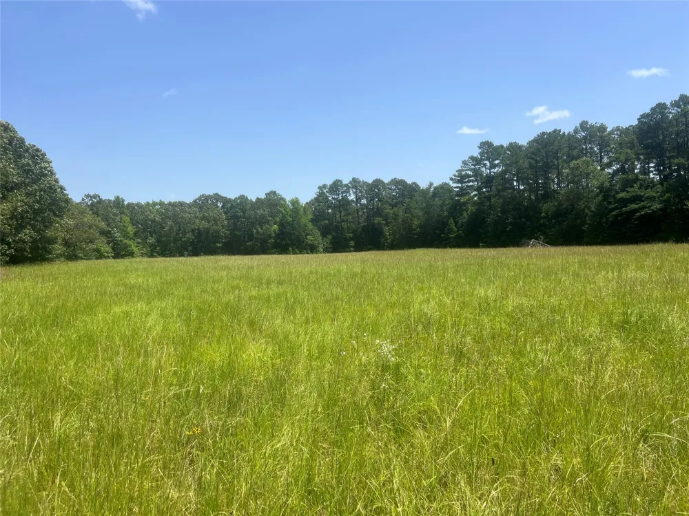 CR 44400 Powderly, TX 75473