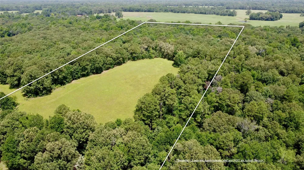 CR 44400 Powderly, TX 75473