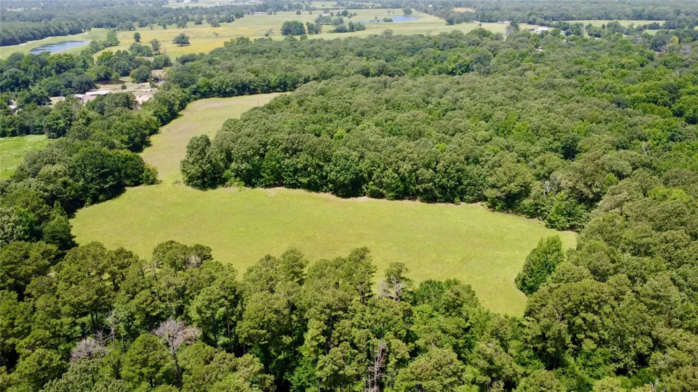 CR 44400 Powderly, TX 75473