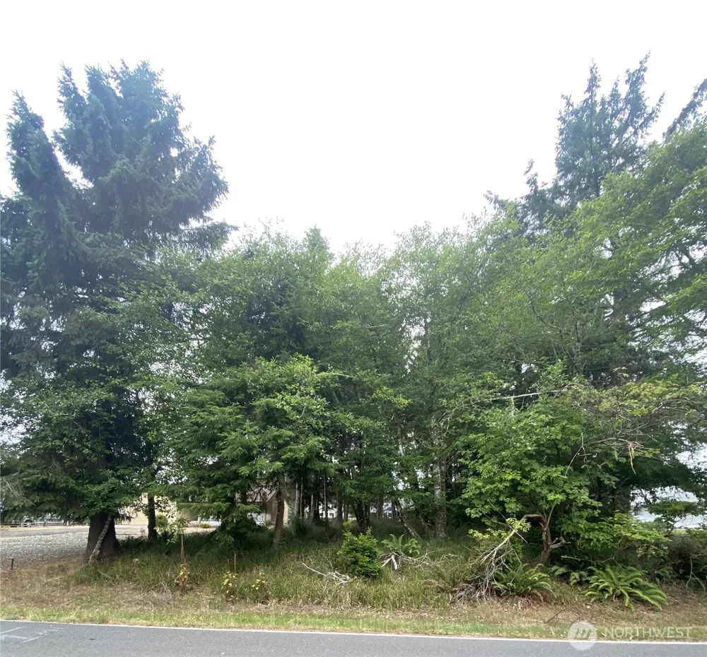 135 Duck Lake Drive NE Ocean Shores, WA 98569
