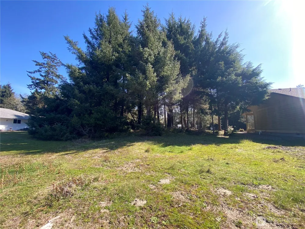 135 Duck Lake Drive NE Ocean Shores, WA 98569