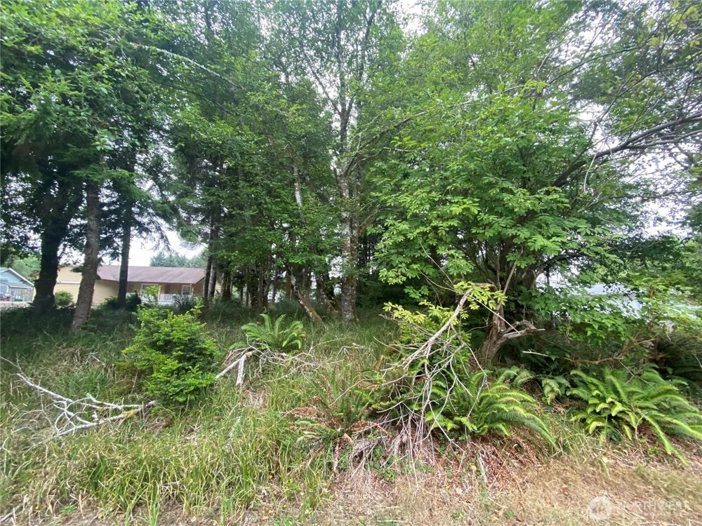 135 Duck Lake Drive NE Ocean Shores, WA 98569