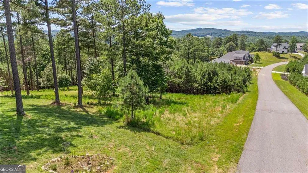 LOT 276 The Cove @ 1300 Blairsville, GA 30512