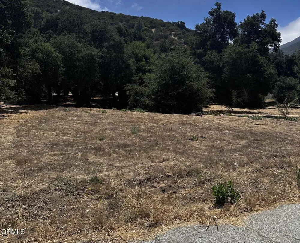 Calle Hermosa Green Valley, CA 91390