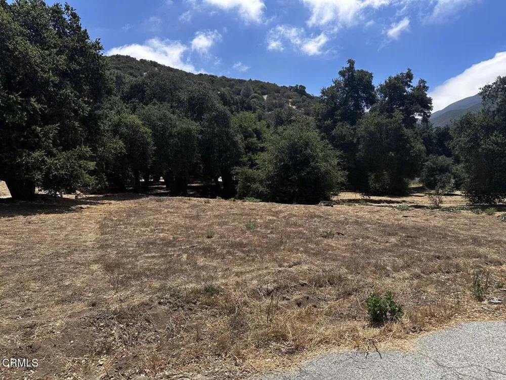 Calle Hermosa Green Valley, CA 91390