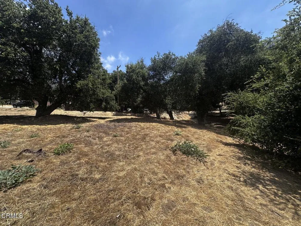 Calle Hermosa Green Valley, CA 91390