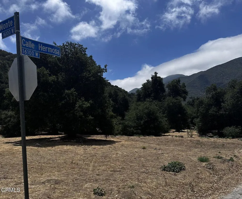 Calle Hermosa Green Valley, CA 91390
