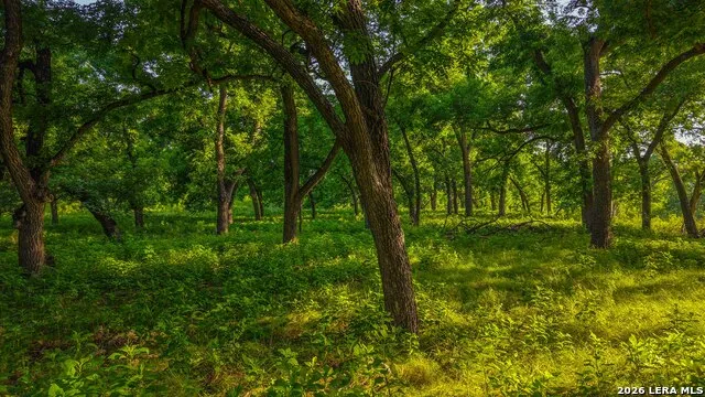 TBD Hwy 377 Junction, TX 76849