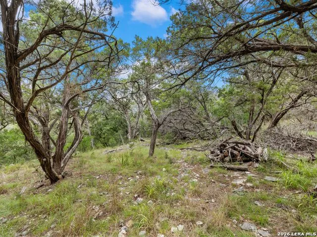 275 COUNTY ROAD 260 E Mico, TX 78056