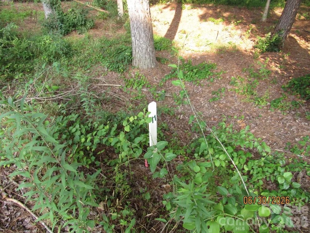 00 Church Road #Lot 11 Taylorsville, NC 28681