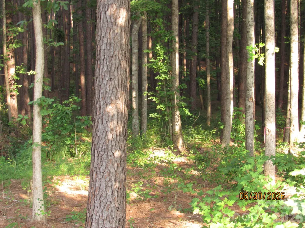 00 Church Road #Lot 11 Taylorsville, NC 28681