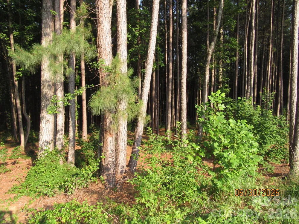 00 Church Road #Lot 11 Taylorsville, NC 28681