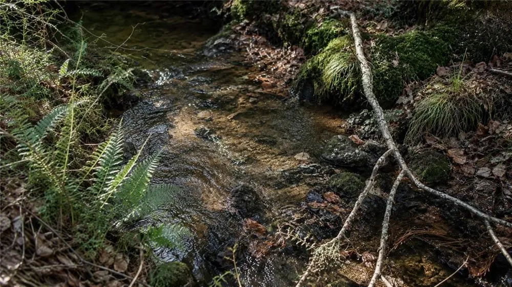 129 sunset Trail Blairsville, GA 30512