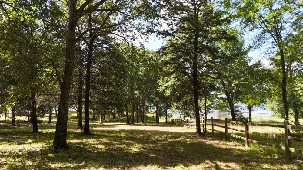 Appomattox Streetman, TX 75859