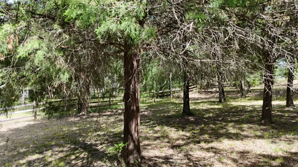 Appomattox Streetman, TX 75859