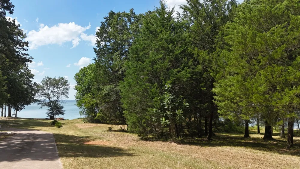 Appomattox Streetman, TX 75859