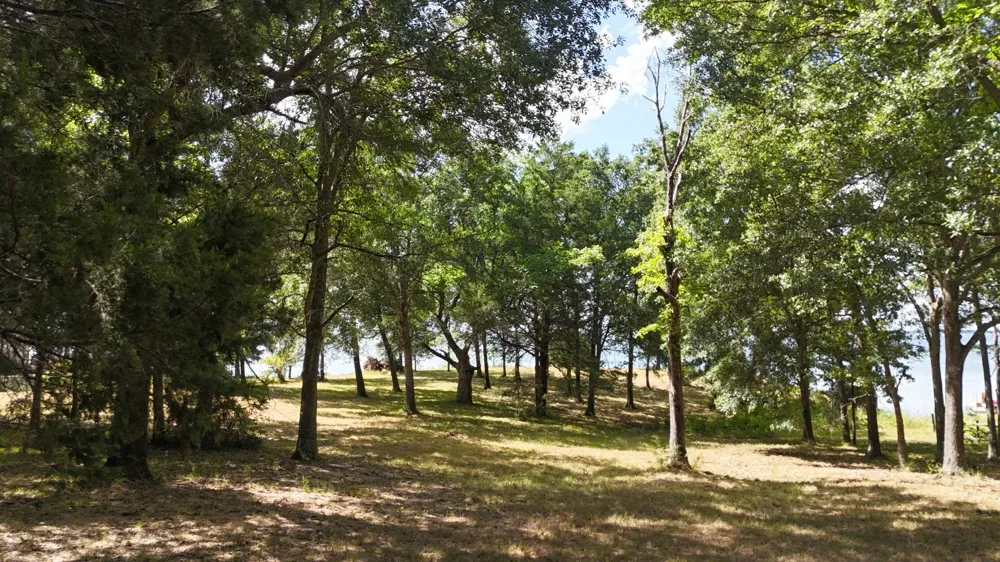 Appomattox Streetman, TX 75859