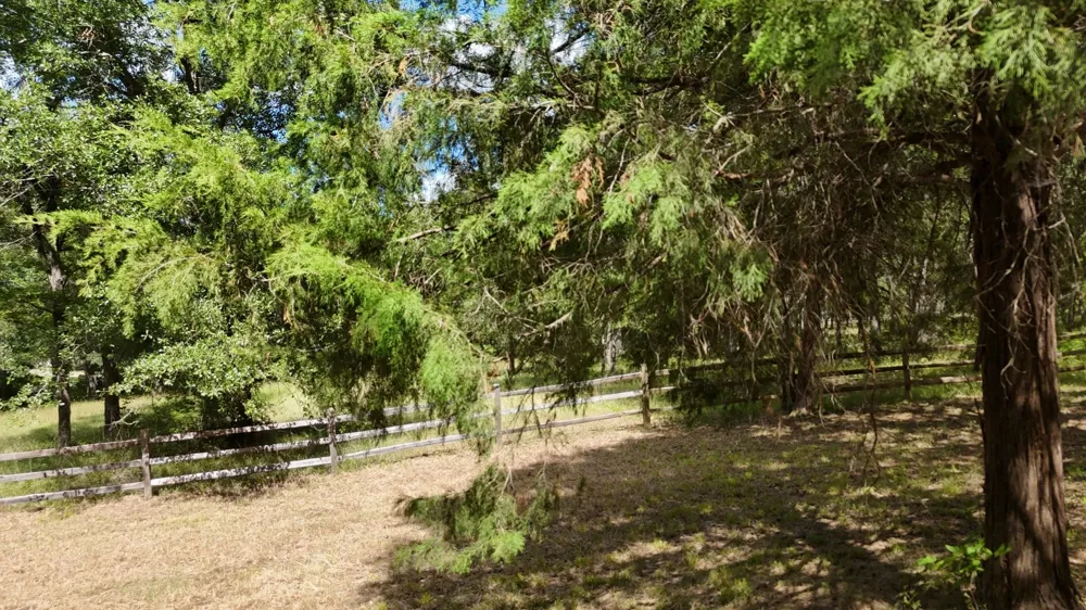 Appomattox Streetman, TX 75859