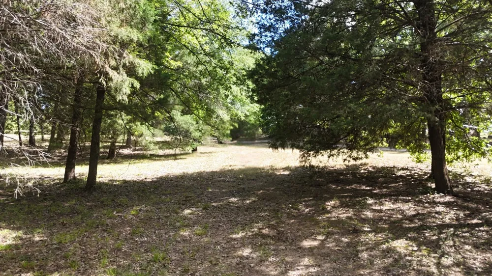 Appomattox Streetman, TX 75859