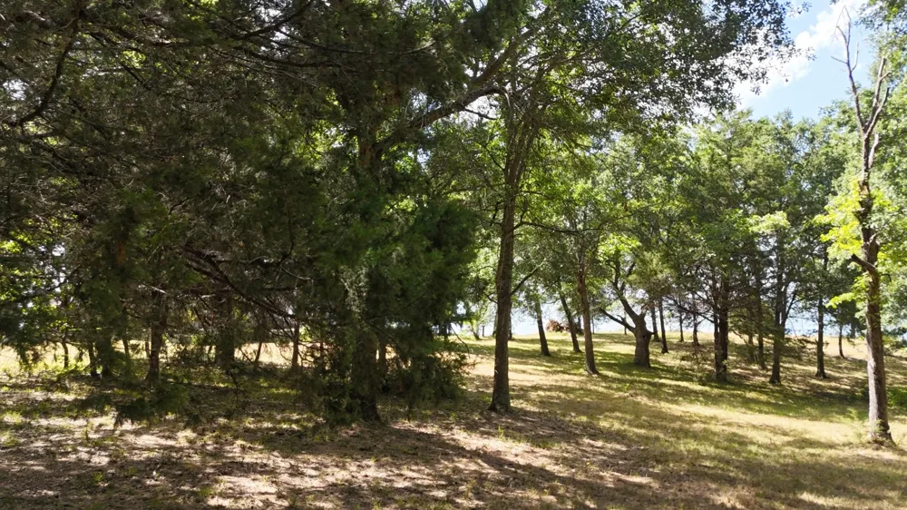 Appomattox Streetman, TX 75859