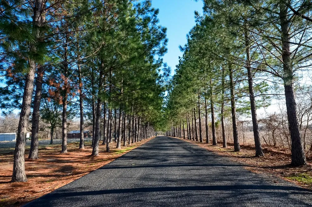 Appomattox Streetman, TX 75859