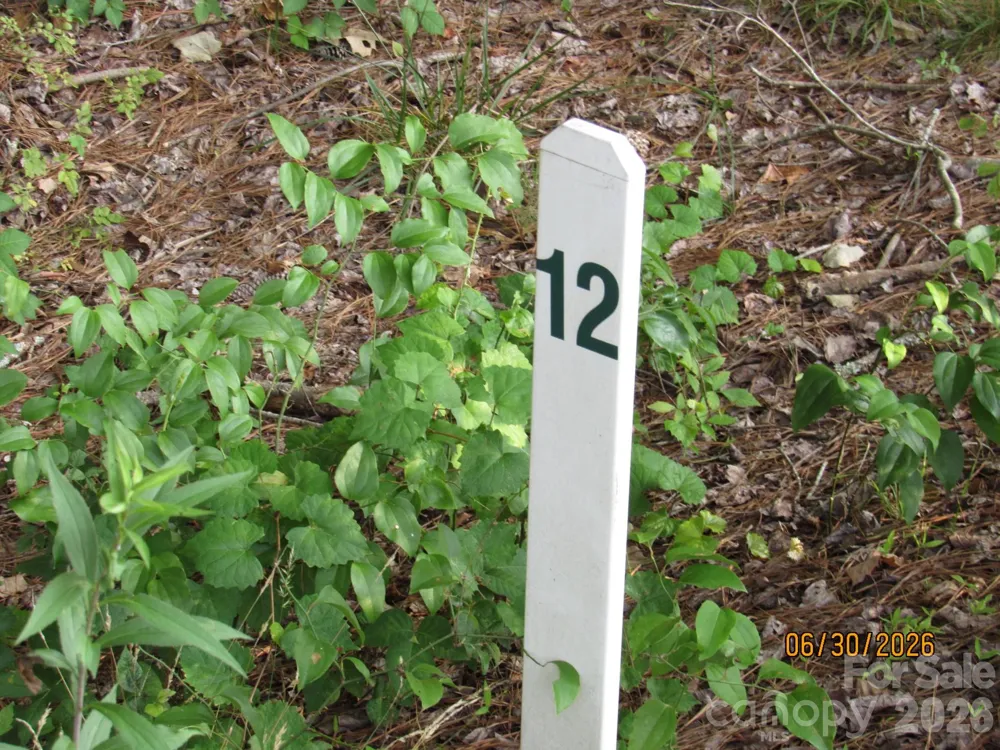 00 Church Road #12 Taylorsville, NC 28681