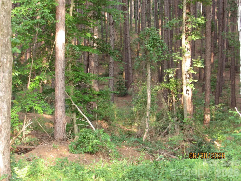 00 Church Road #12 Taylorsville, NC 28681