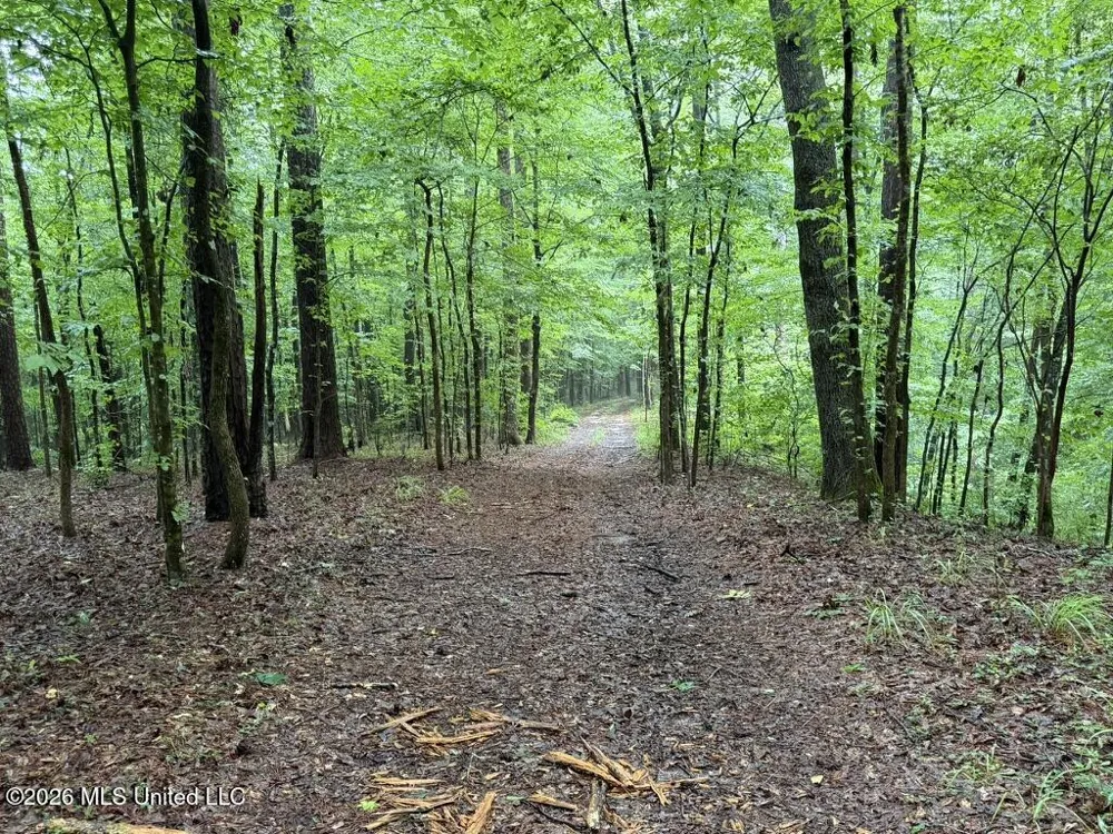 Meredith Road Collinsville, MS 39325