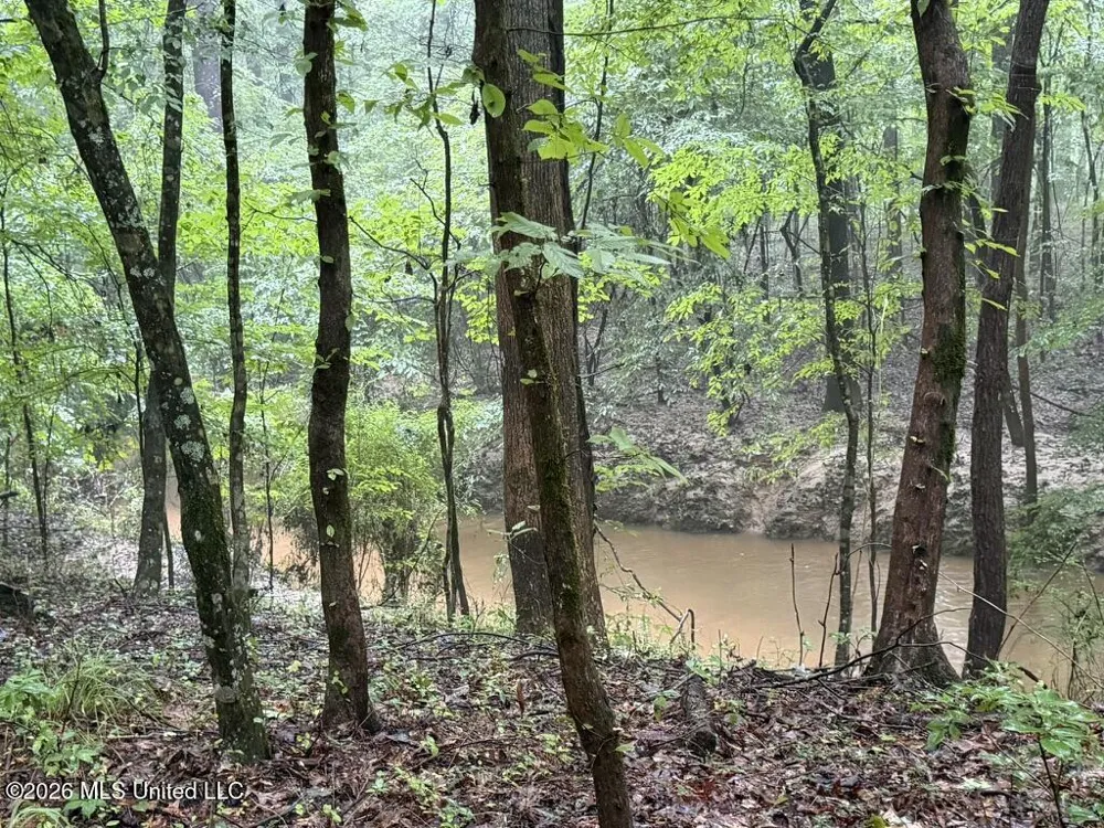Meredith Road Collinsville, MS 39325