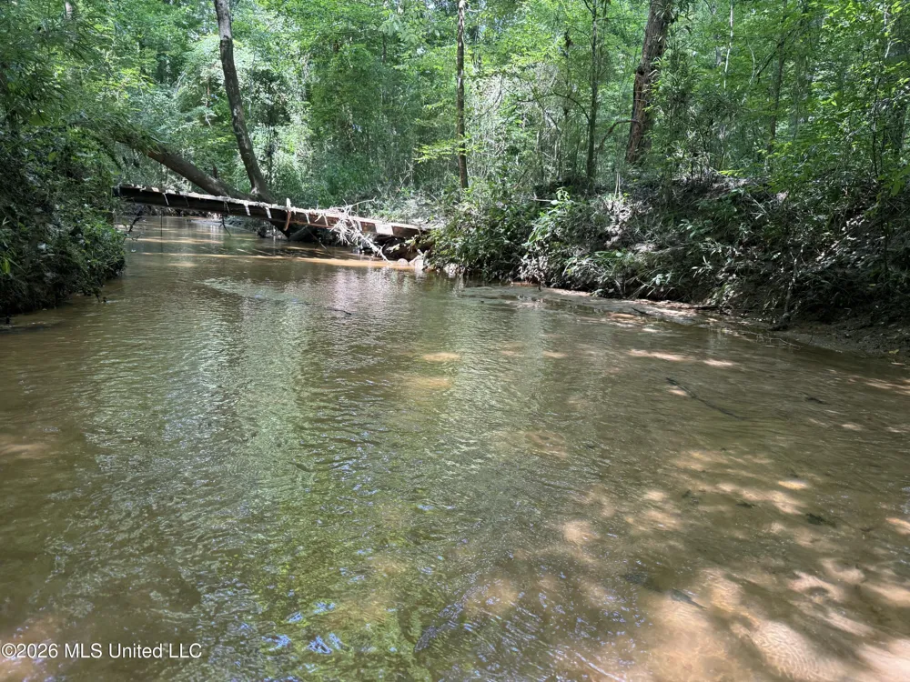 Meredith Road Collinsville, MS 39325