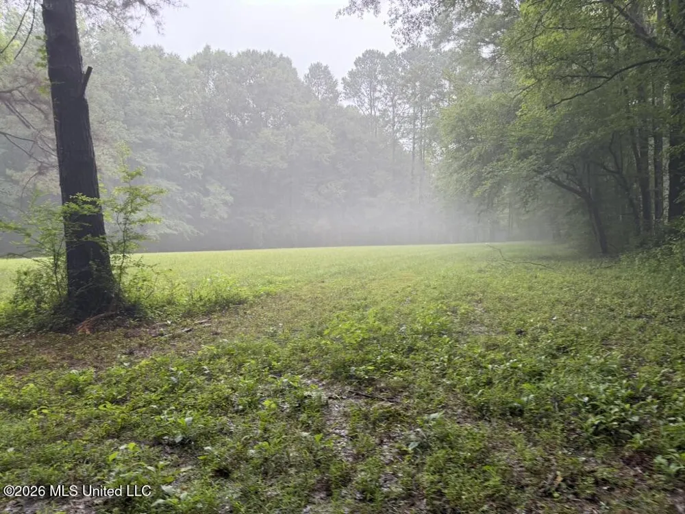 Meredith Road Collinsville, MS 39325