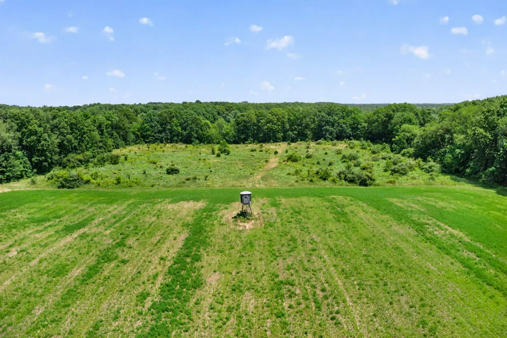 64030 Chain Lake Street Cassopolis, MI 49031