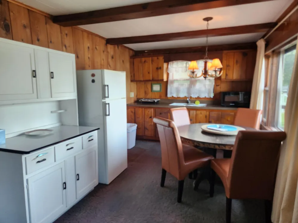 6176 S Hamlin Circle Baldwin, MI 49304